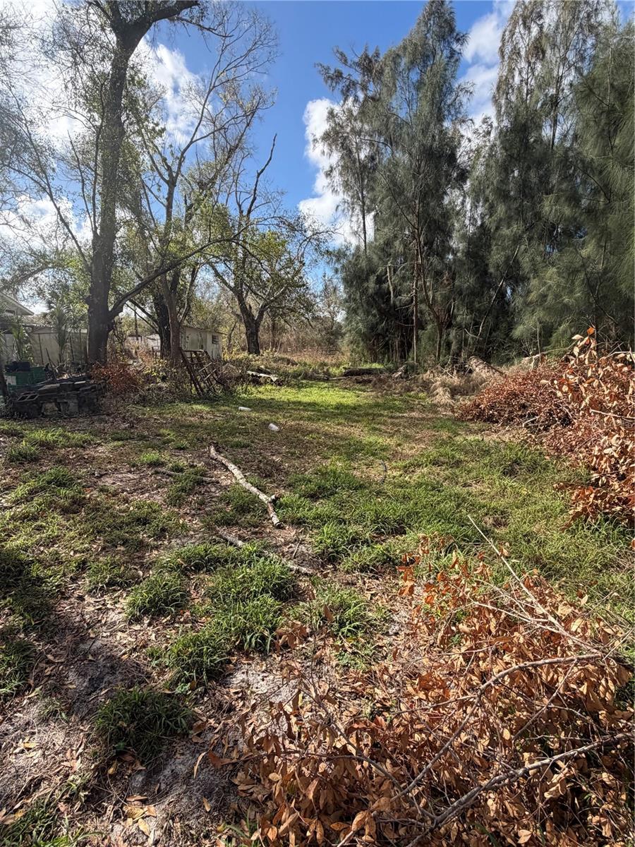 Image 11 of 23 For 1211 Eucalyptus Avenue