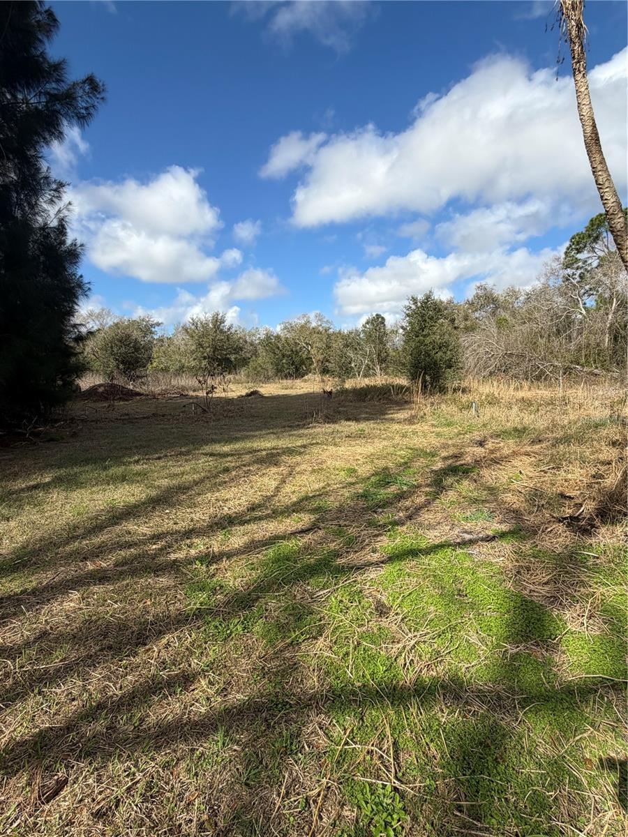 Image 13 of 23 For 1211 Eucalyptus Avenue