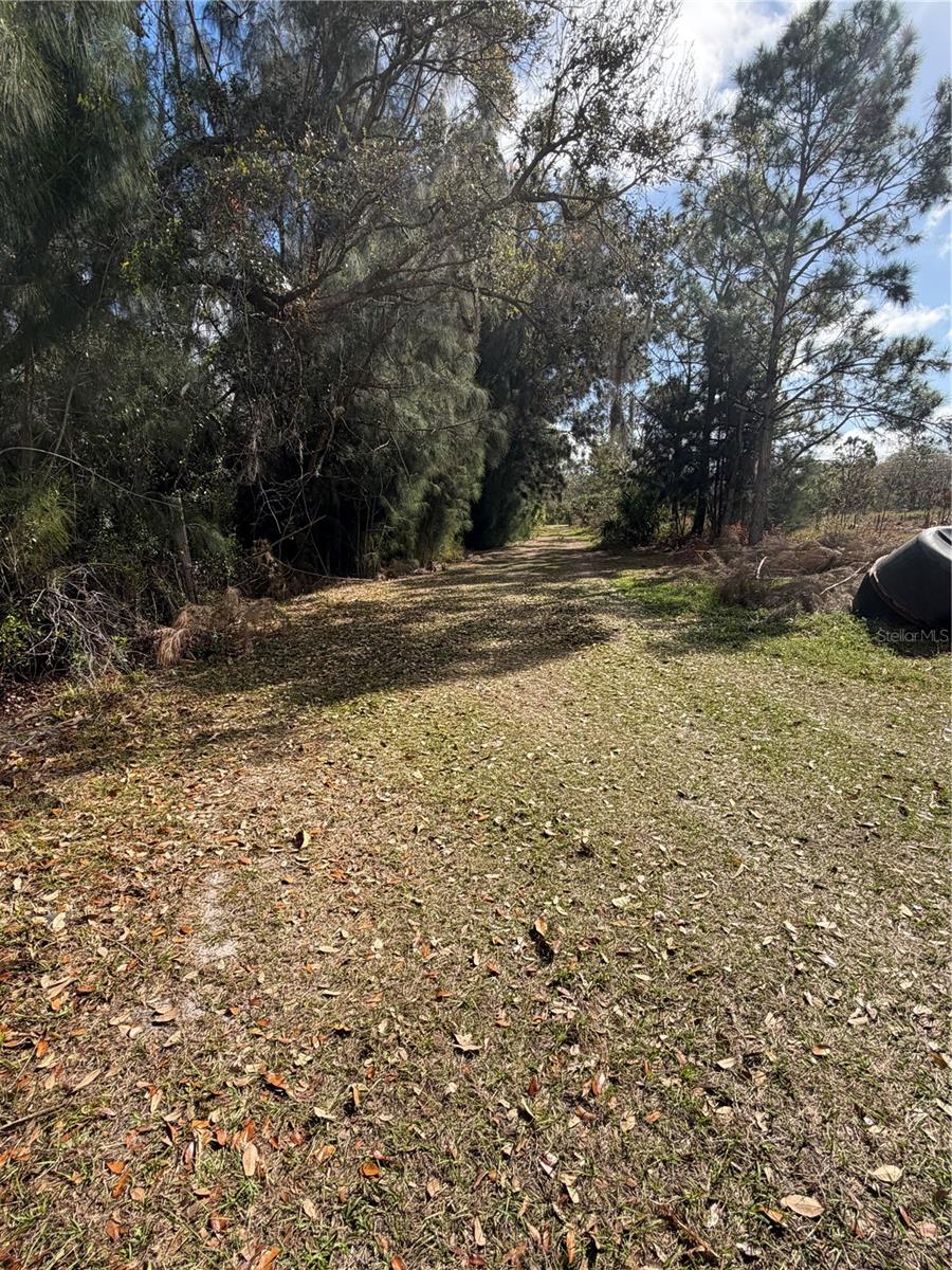 Image 15 of 23 For 1211 Eucalyptus Avenue