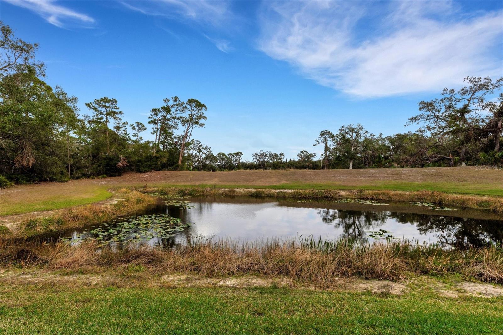 Image 42 of 51 For 2471 Midnight Pearl Drive