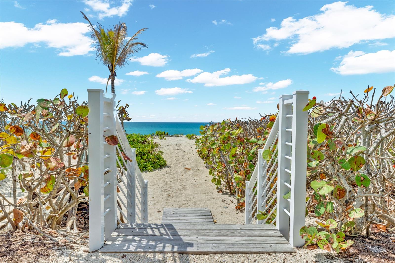 Image 79 of 93 For 321 Casey Key Road