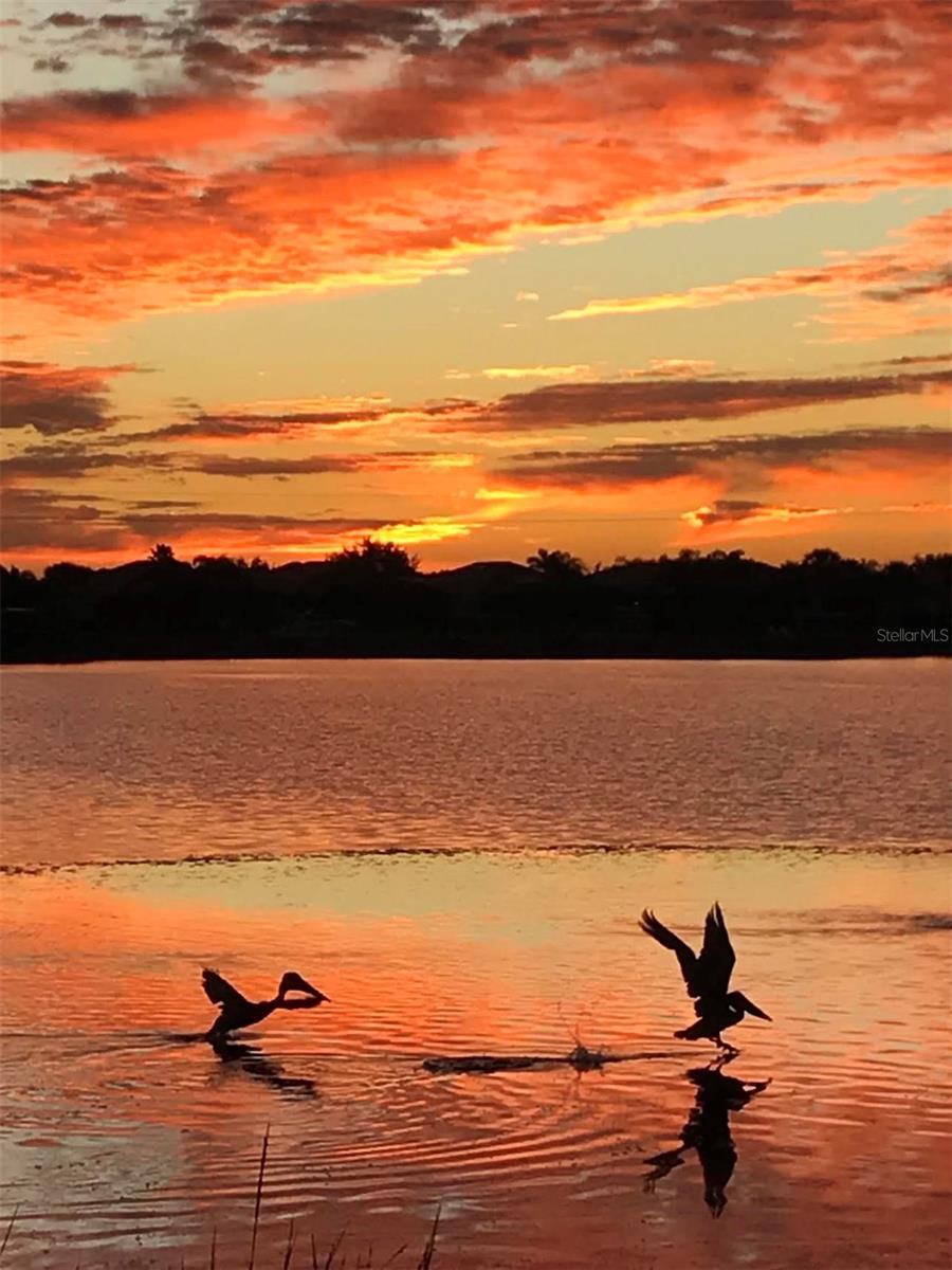 Image 3 of 62 For 1151 Riverscape Street 1151