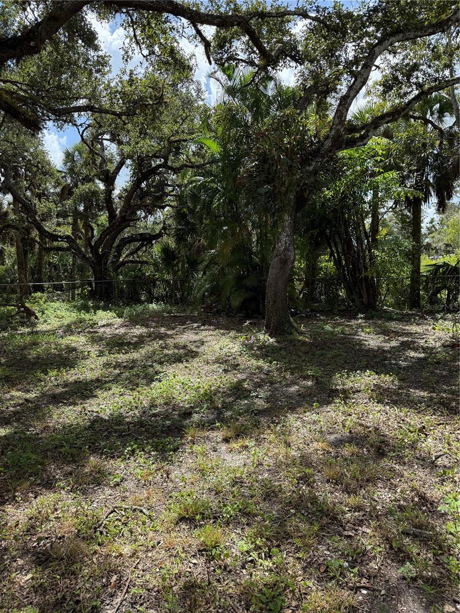 Image 2 of 7 For 673 Moon Drive