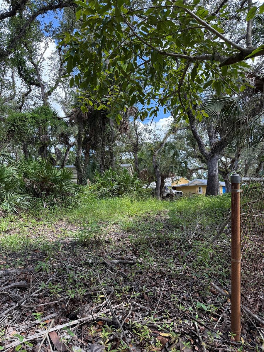 Image 3 of 7 For 673 Moon Drive