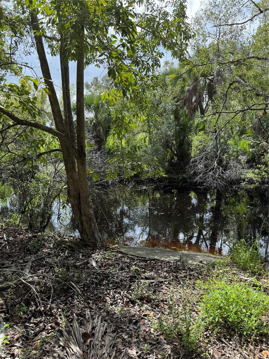 Image 4 of 7 For 673 Moon Drive