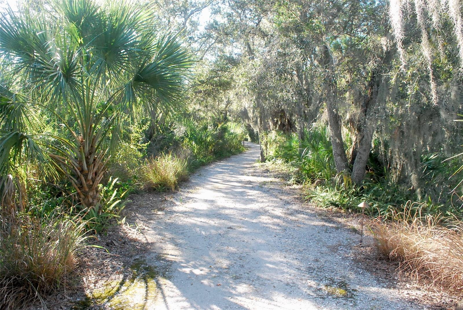 Image 47 of 57 For 5647 Key Largo Court C-07