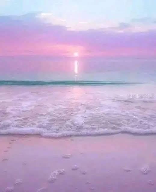 Image 44 of 55 For 8767 Midnight Pass Road 505f