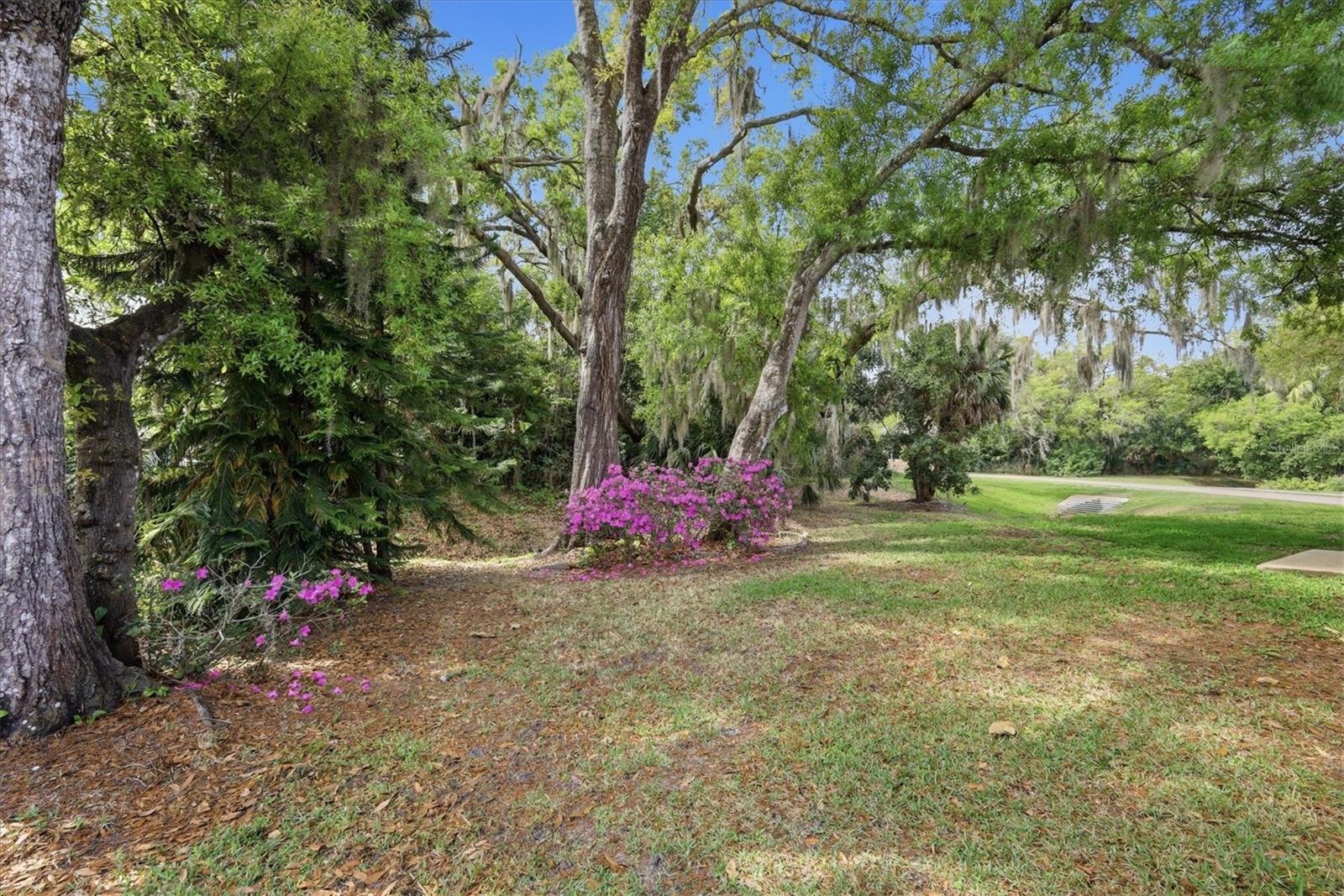 Image 45 of 59 For 2158 Cork Oak Street