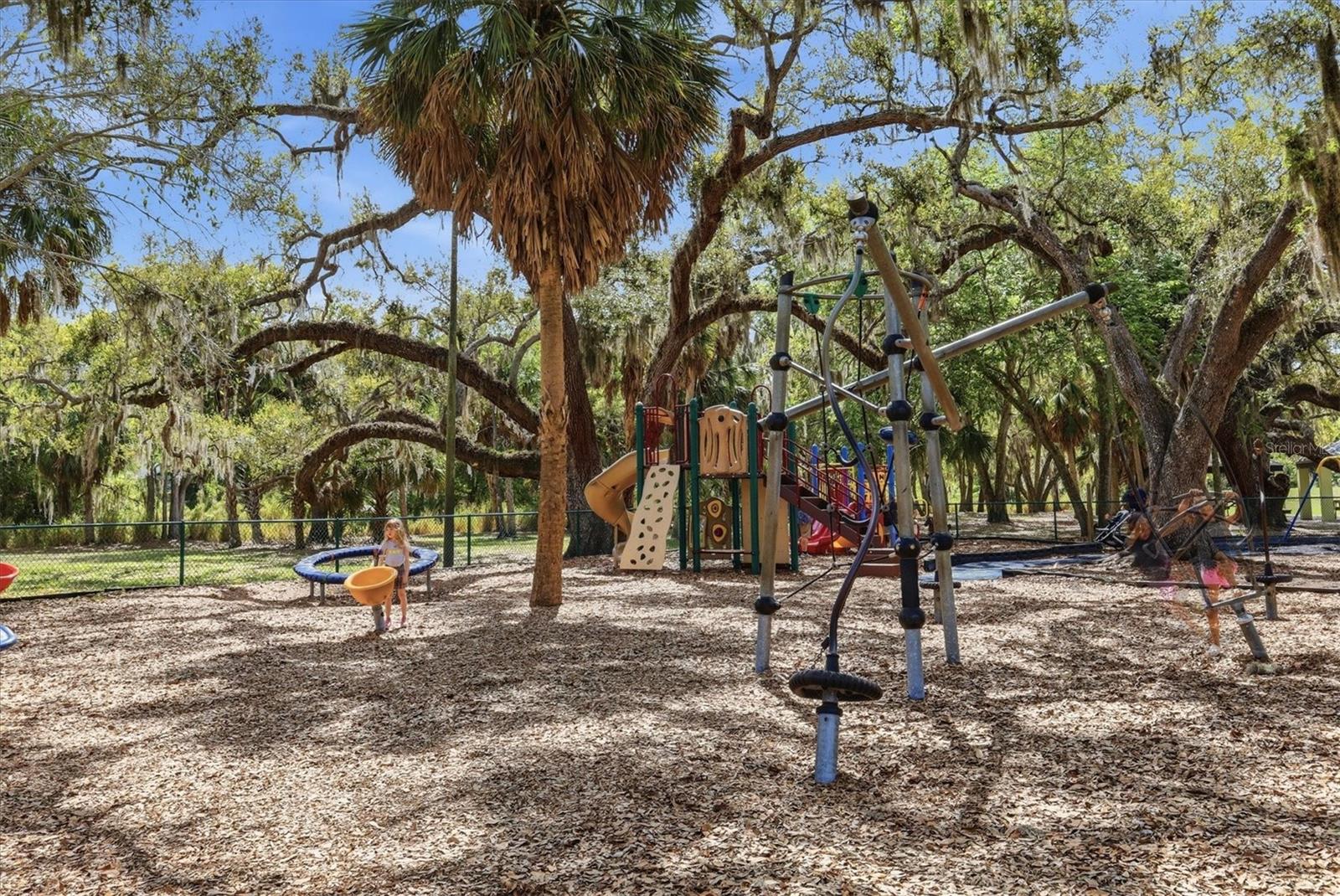 Image 54 of 59 For 2158 Cork Oak Street