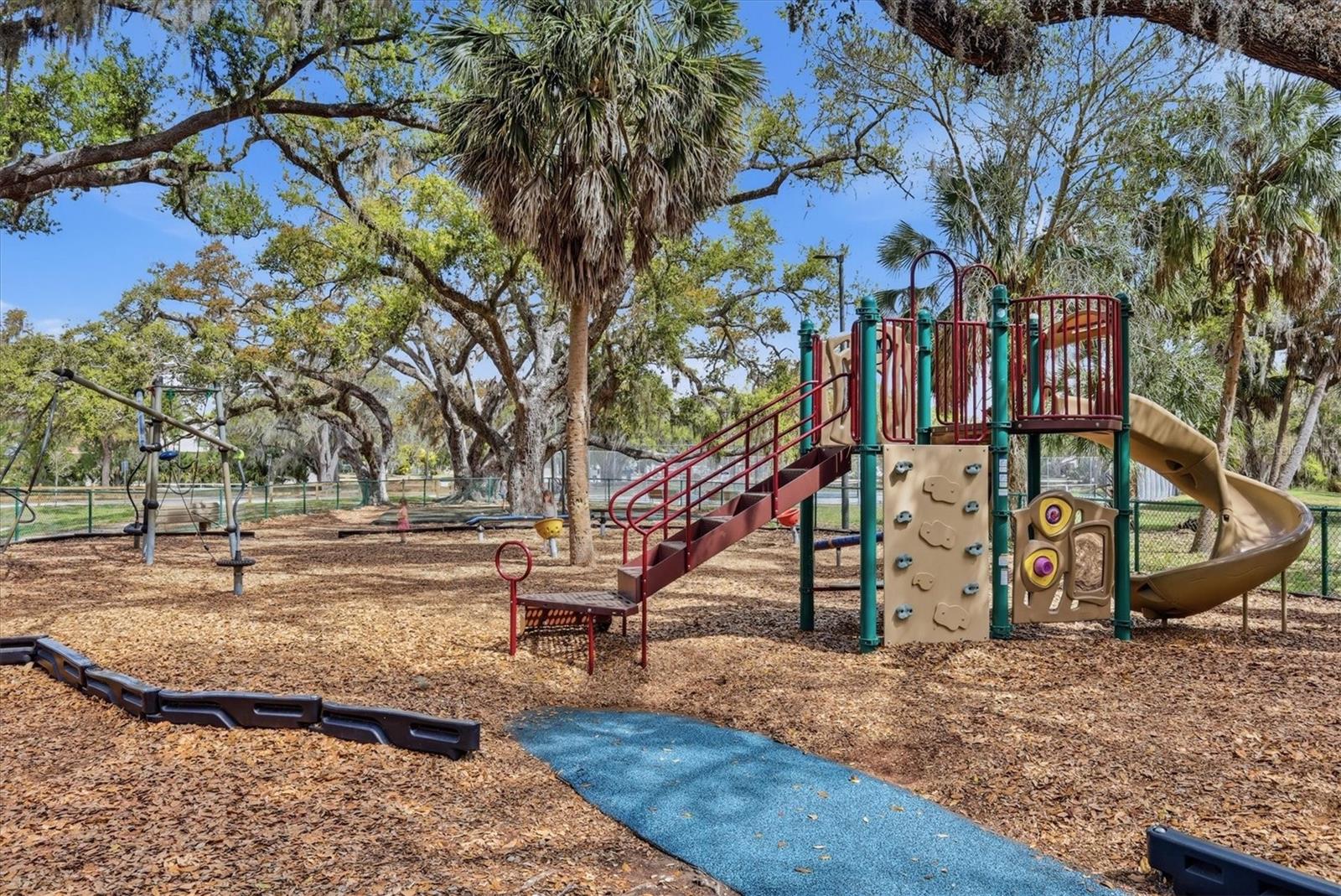 Image 57 of 59 For 2158 Cork Oak Street