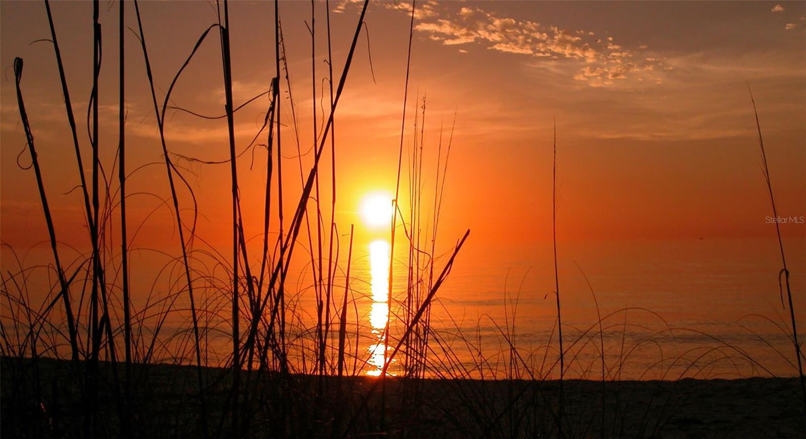 Image 81 of 81 For 4380 Exeter Drive 101