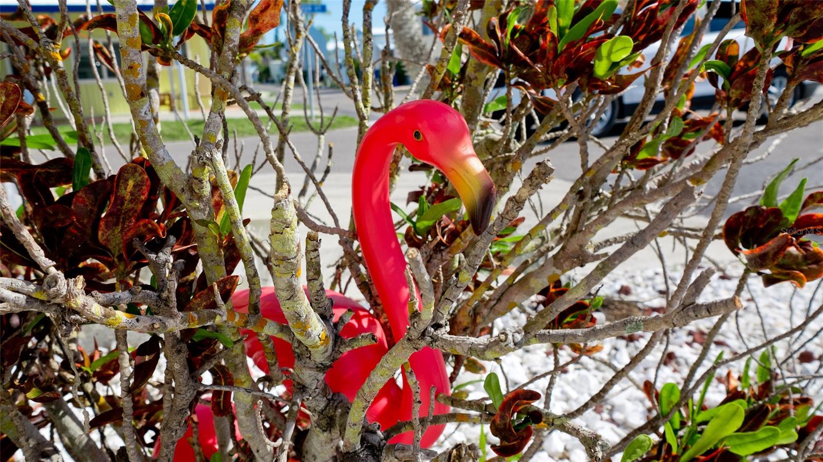 Image 23 of 66 For 31 1st Street