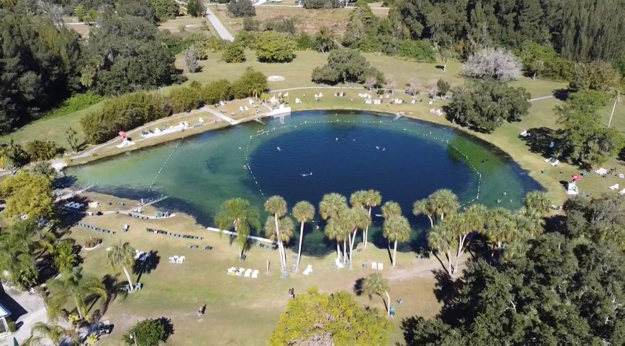 Image 18 of 22 For 239 Venetia Avenue