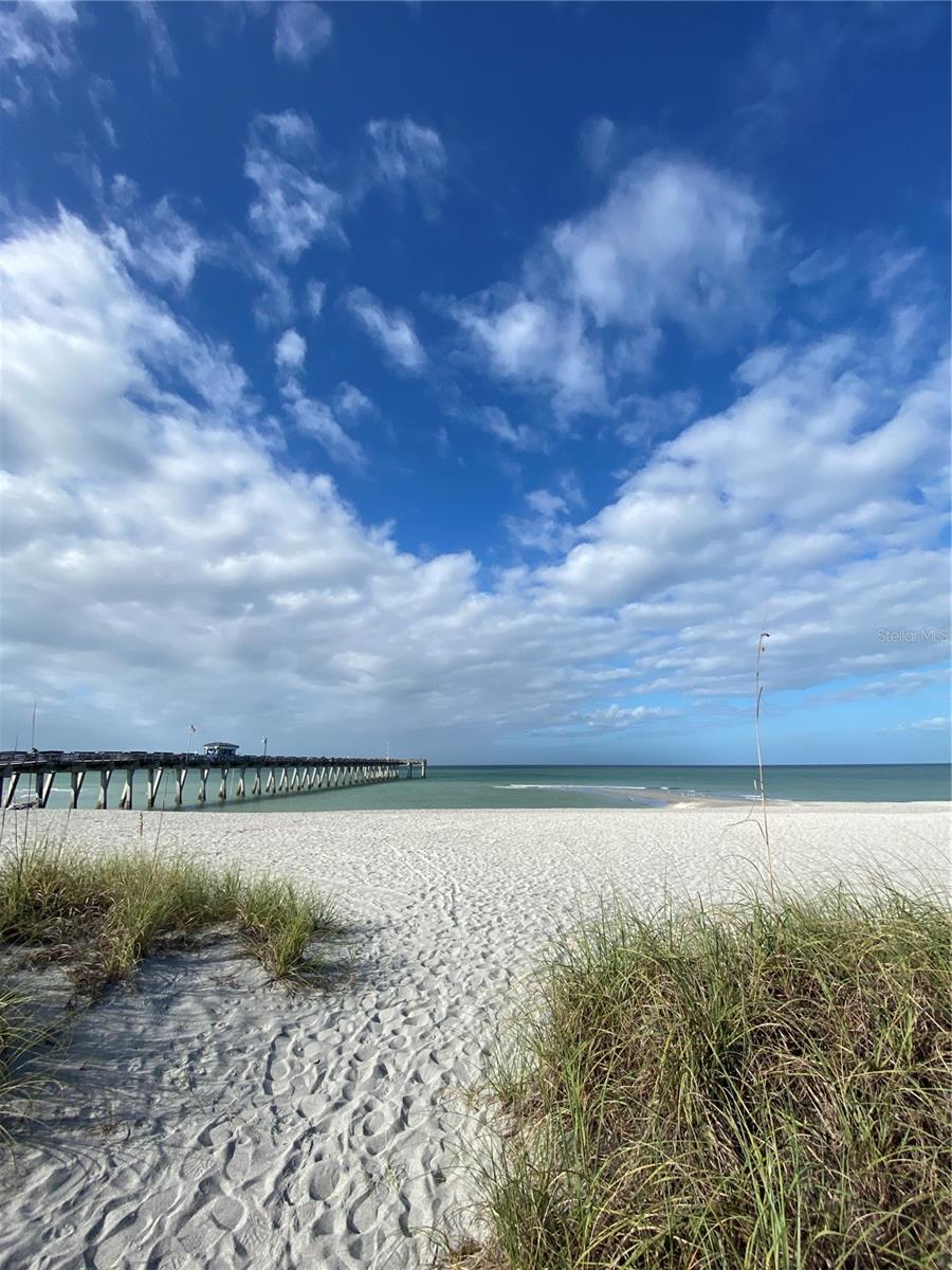 Image 22 of 22 For 239 Venetia Avenue