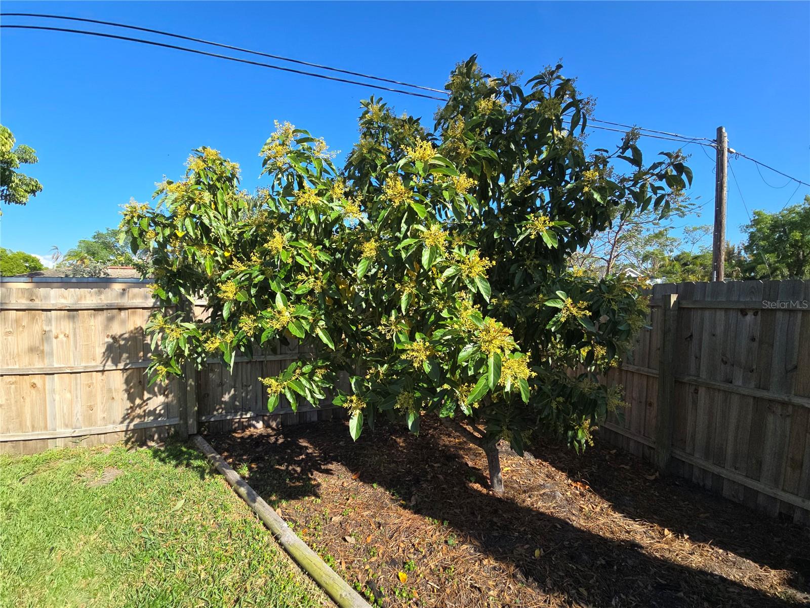 Image 5 of 37 For 1411 29th Street W