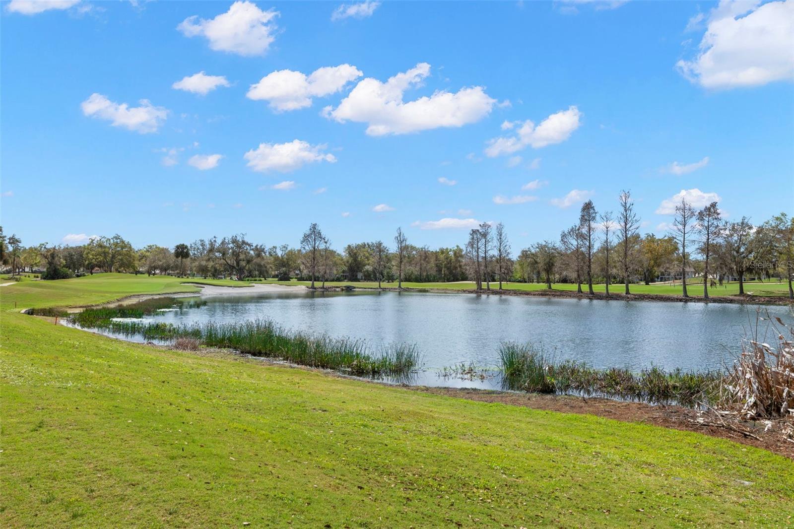 Image 28 of 32 For 6758 Fairview Terrace