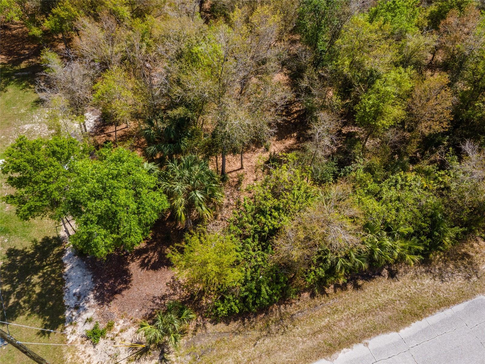 Image 15 of 17 For 7084 Lippman Road