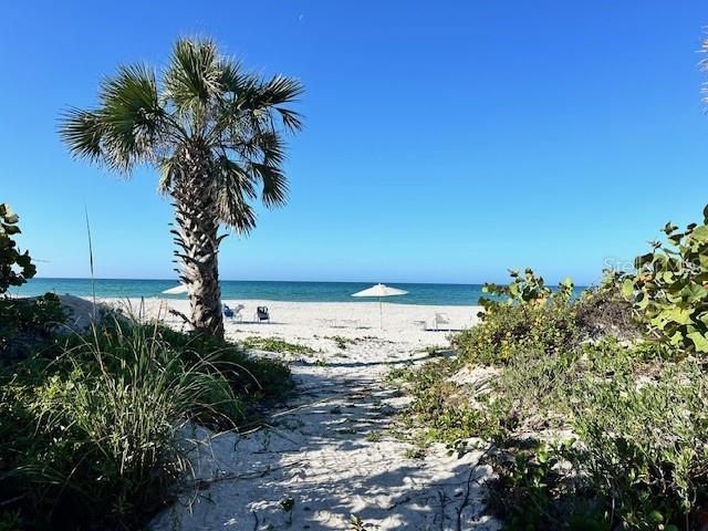 Image 30 of 35 For 1095 Gulf Of Mexico Drive 104