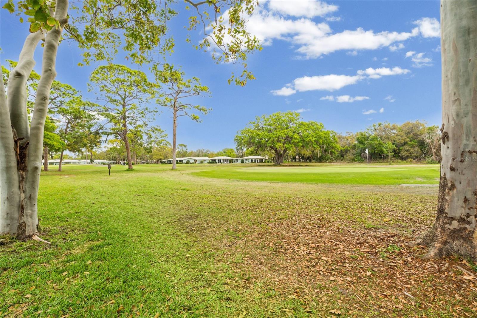 Image 25 of 28 For 1769 Parakeet Way 603