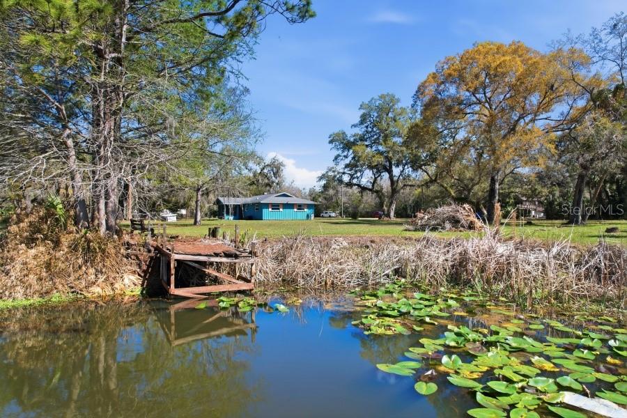 Image 34 of 40 For 234 Ricky Terrace