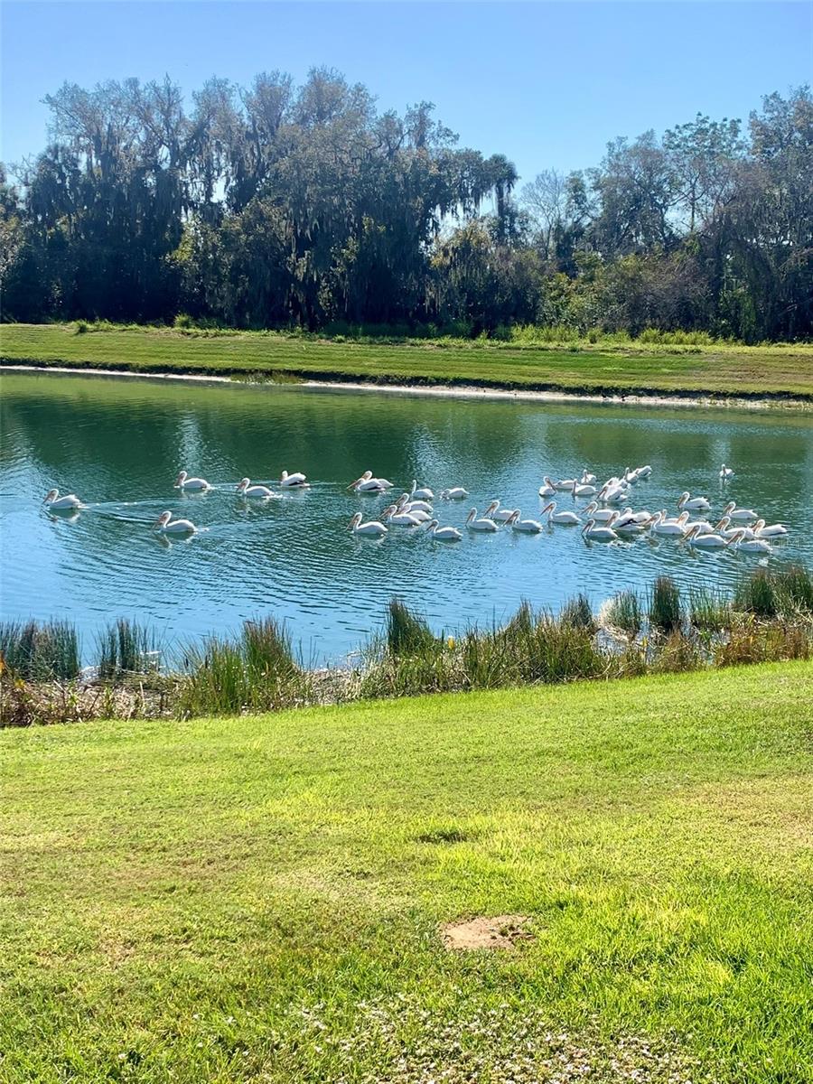 Image 45 of 49 For 3513 76th Street E