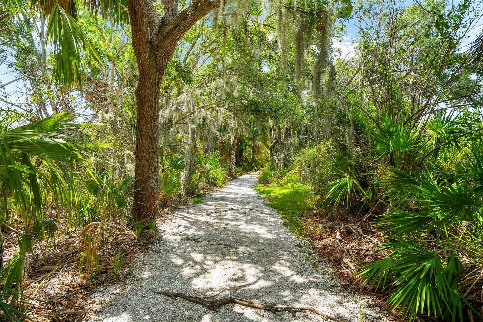 Image 53 of 61 For 5637 Whitehead Street