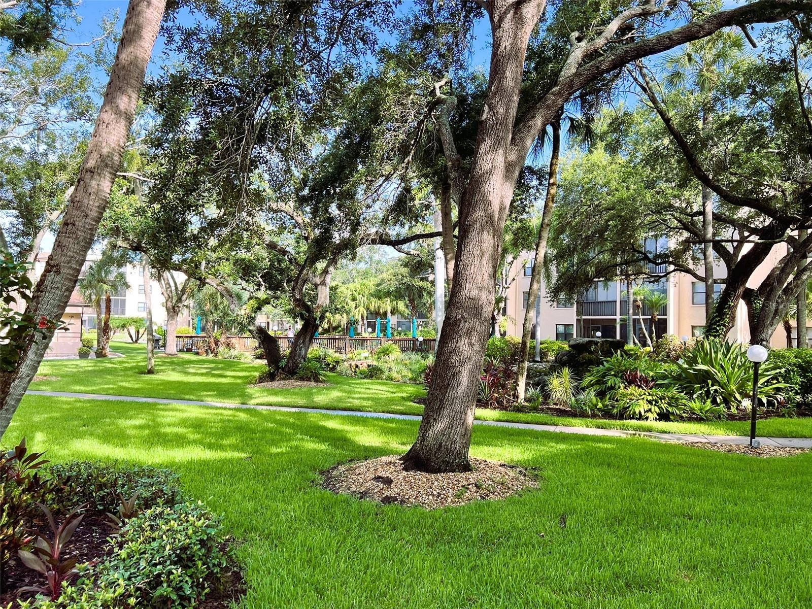 Image 29 of 35 For 425 30th Avenue W C309