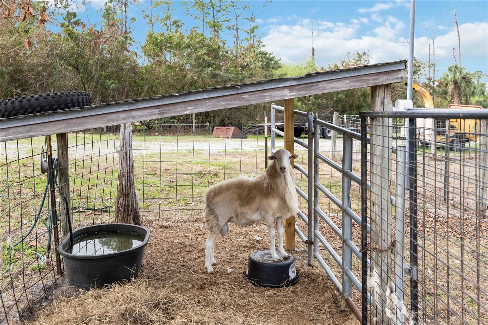 Image 23 of 26 For 6649 Pimlico Street