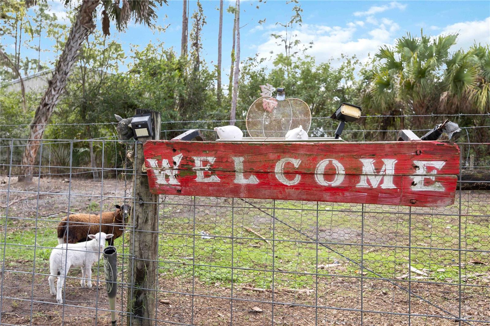 Image 25 of 26 For 6649 Pimlico Street