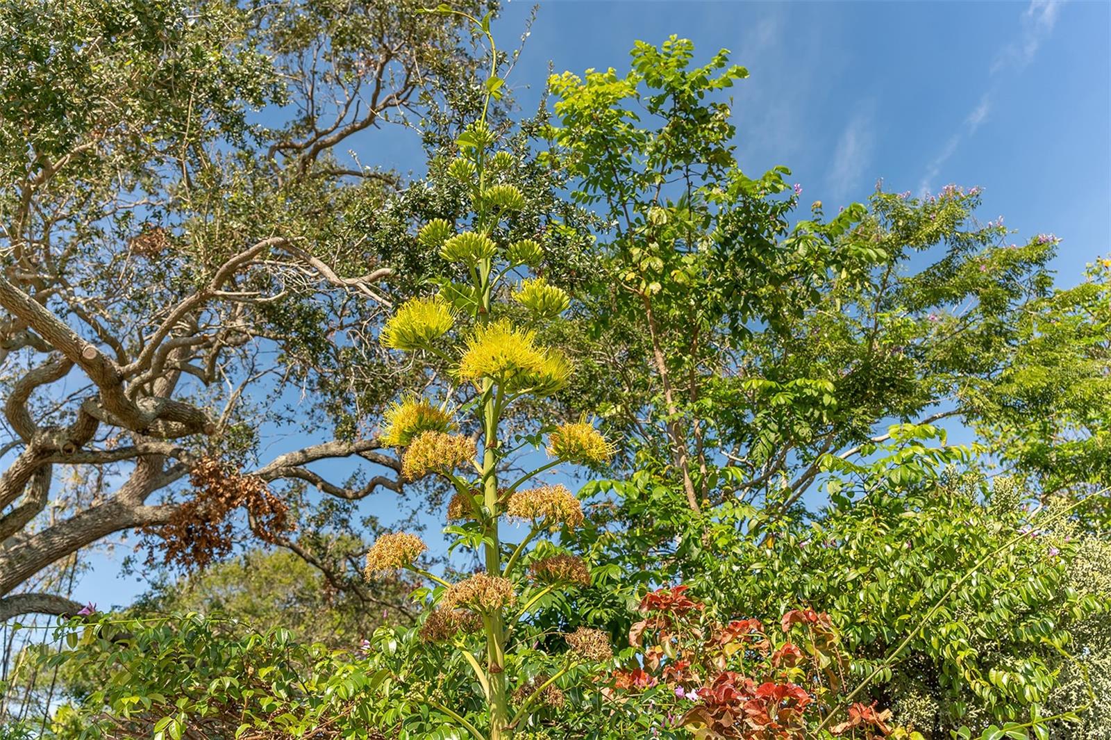 Image 82 of 84 For 988 Blvd Of The Arts  1411