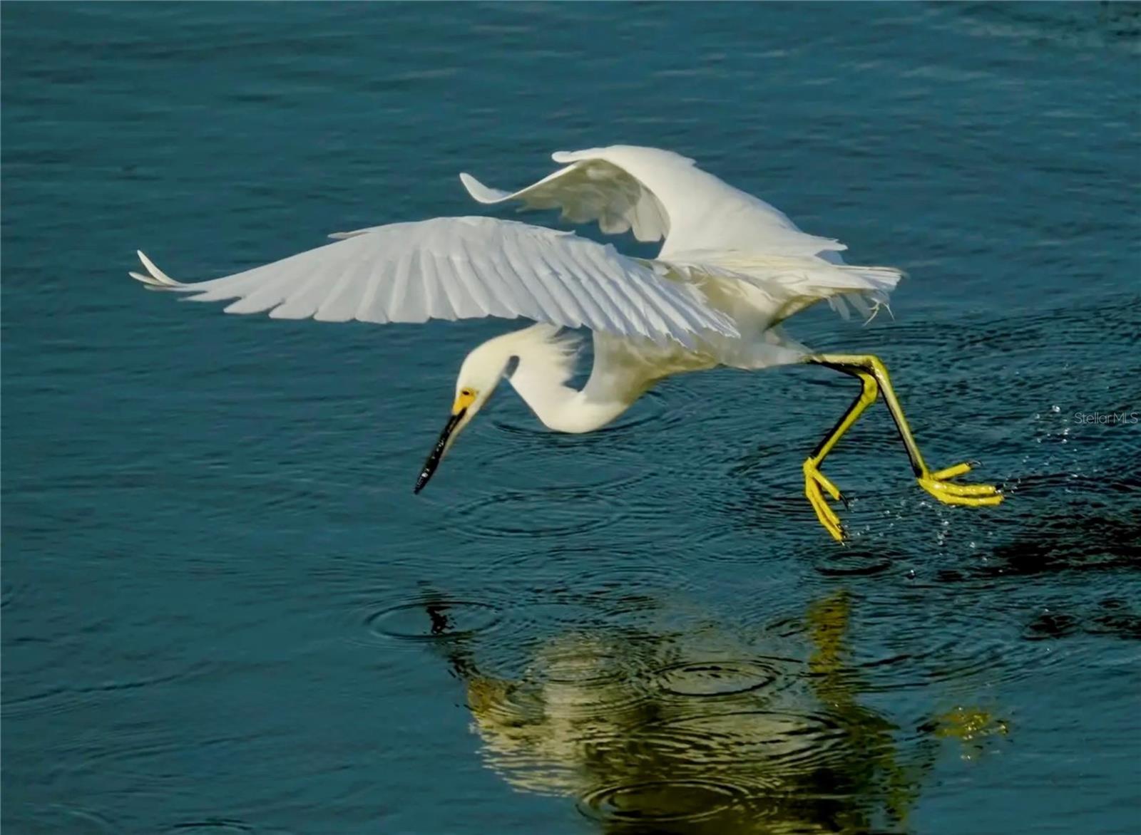 Image 4 of 74 For 4405 Mount Vernon Drive