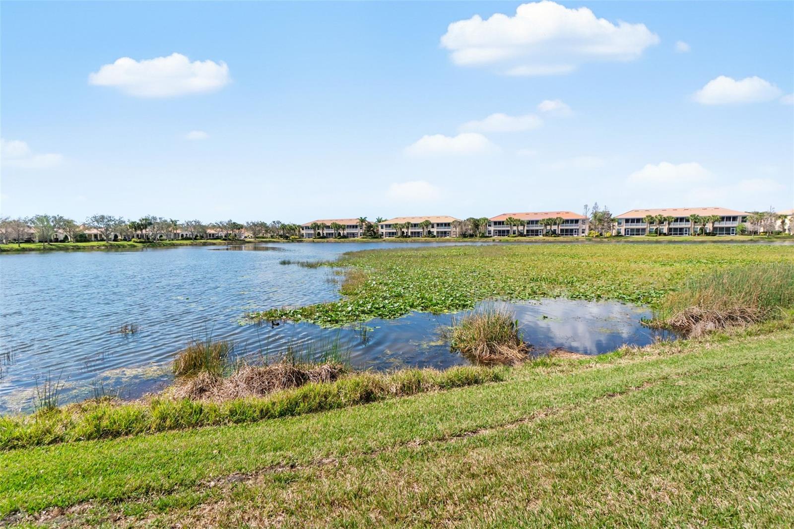 Image 41 of 63 For 1418 Burgos Drive