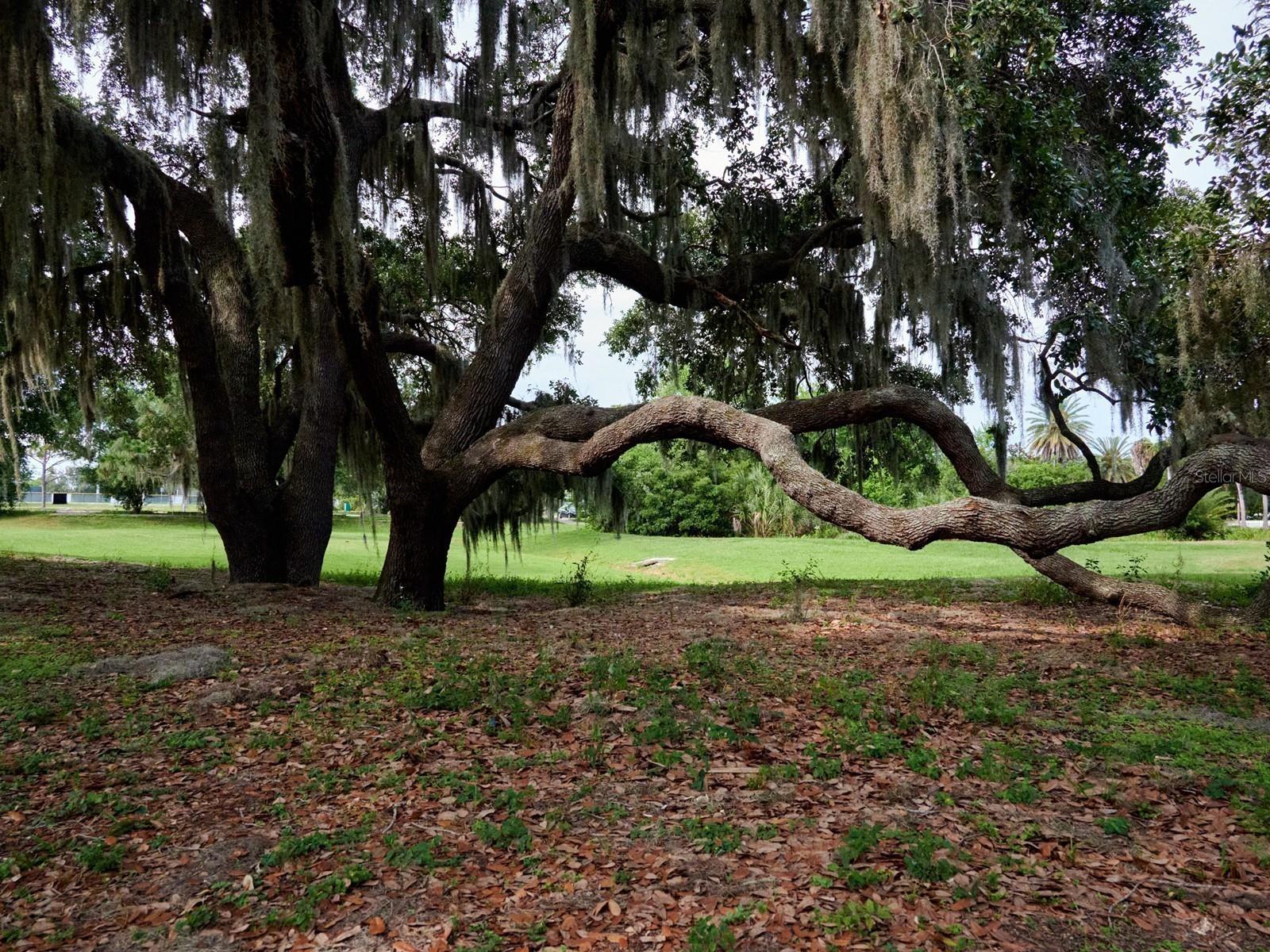 Image 100 of 100 For 7311 Proctor Road