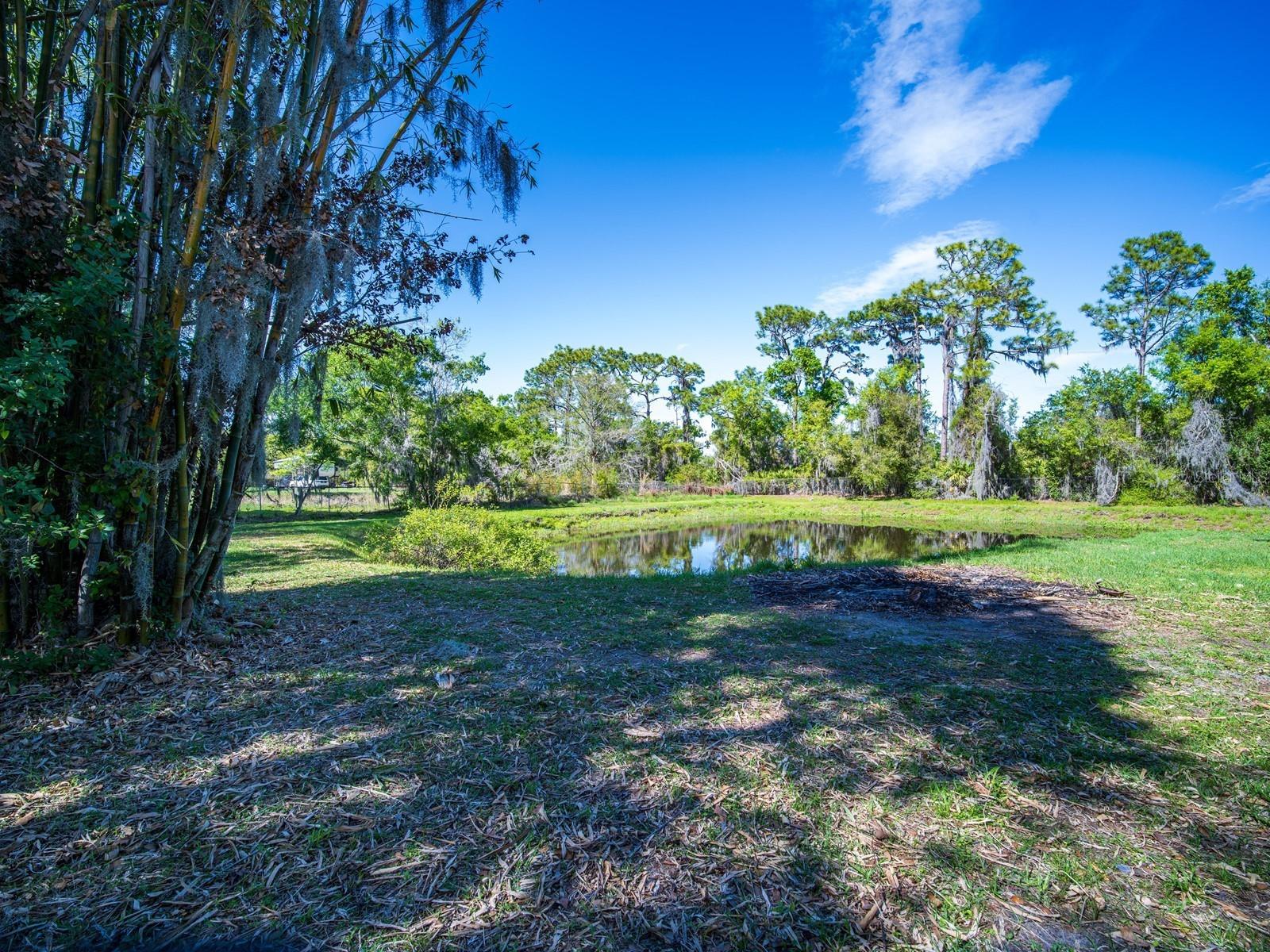 Image 29 of 100 For 7311 Proctor Road