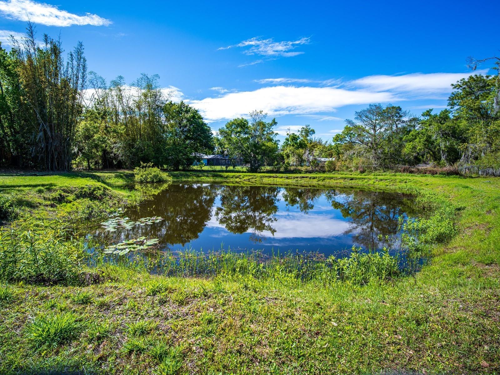 Image 30 of 100 For 7311 Proctor Road