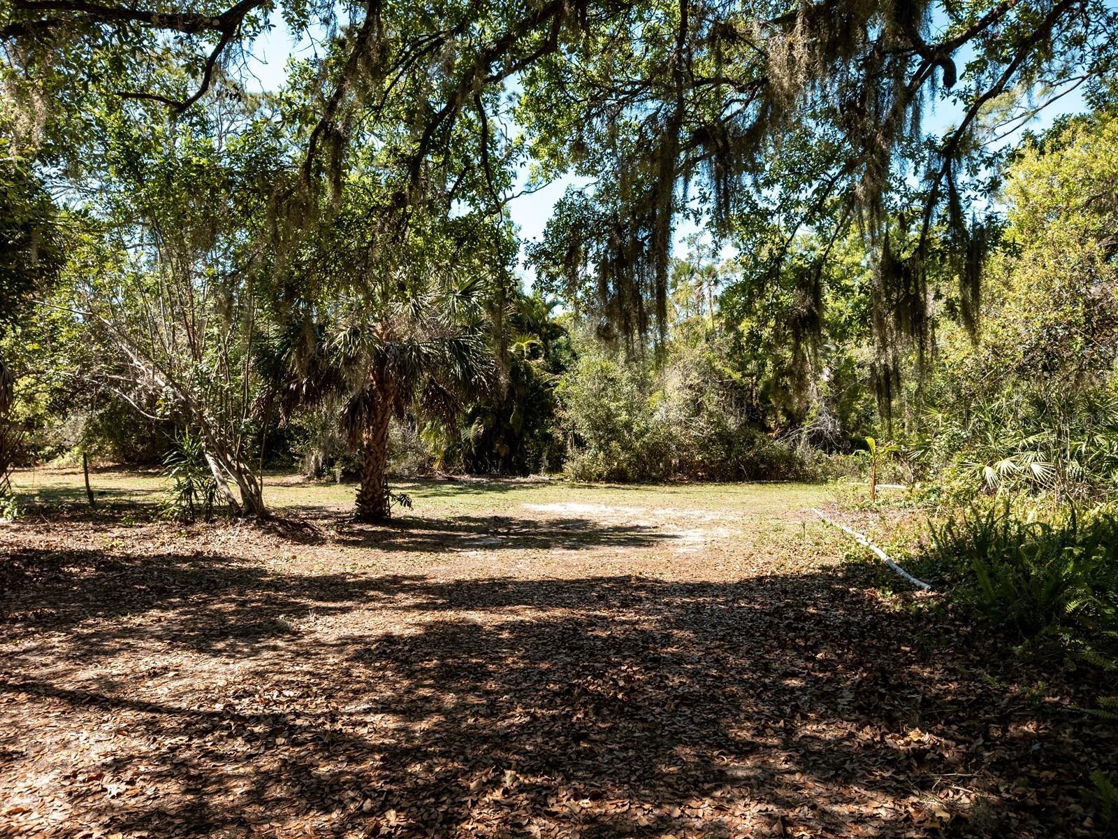 Image 31 of 100 For 7311 Proctor Road