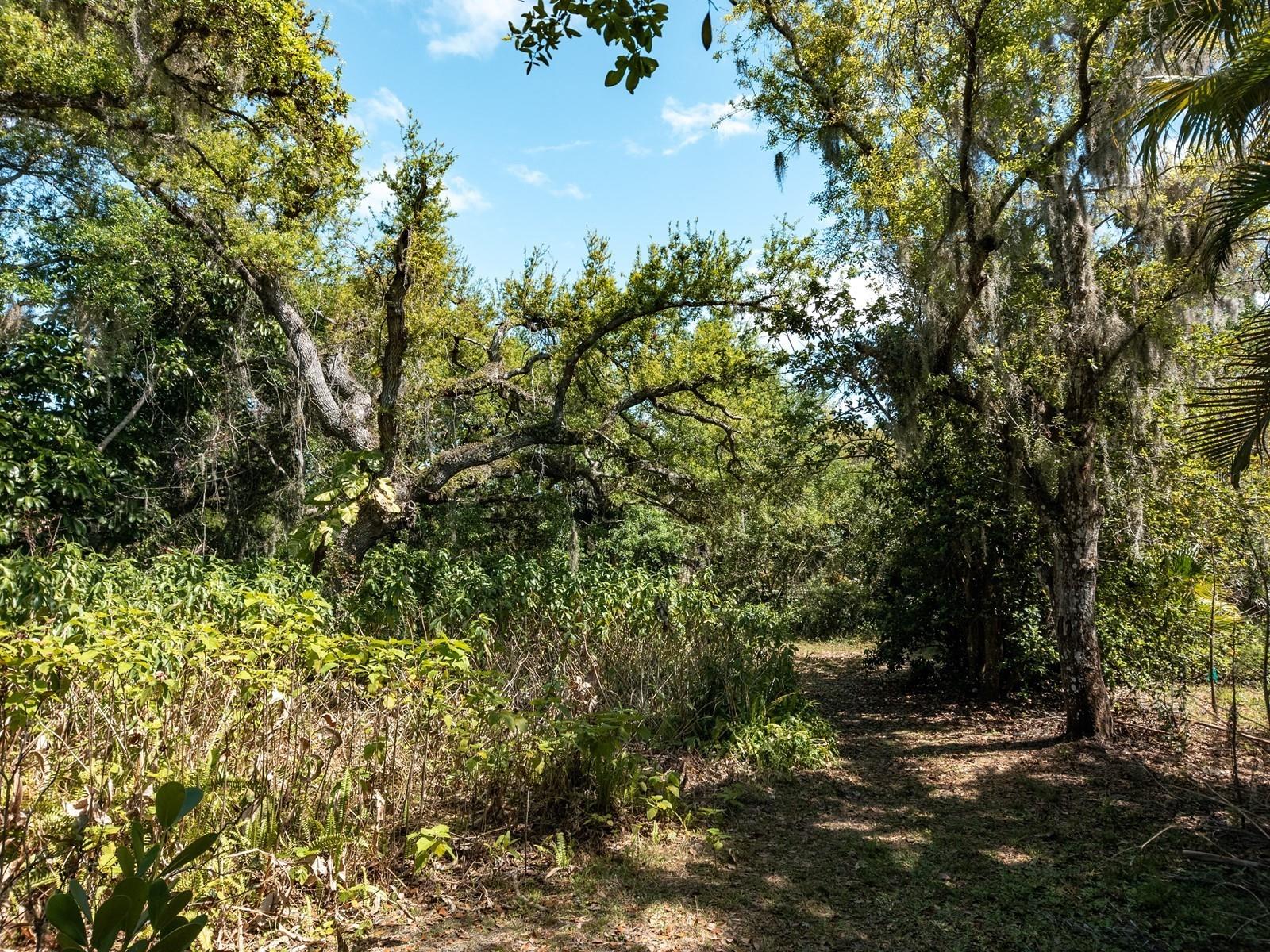 Image 33 of 100 For 7311 Proctor Road