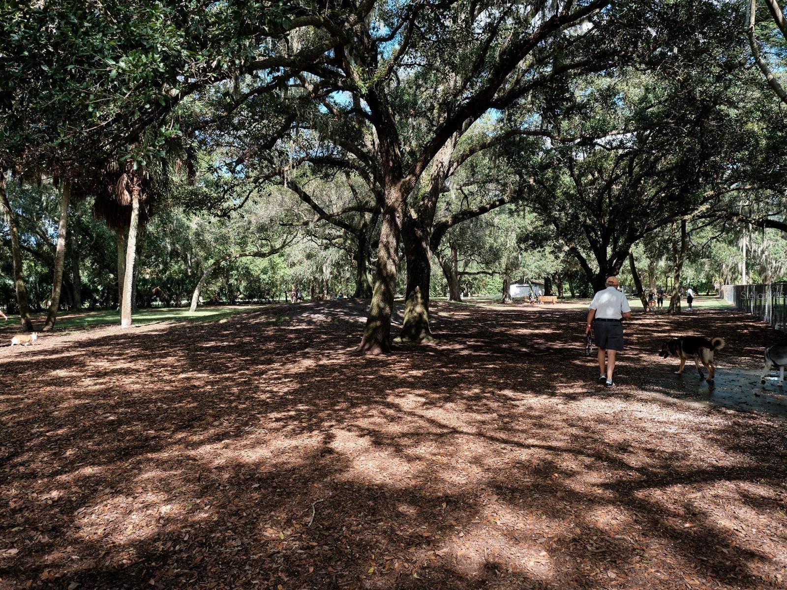 Image 57 of 100 For 7311 Proctor Road