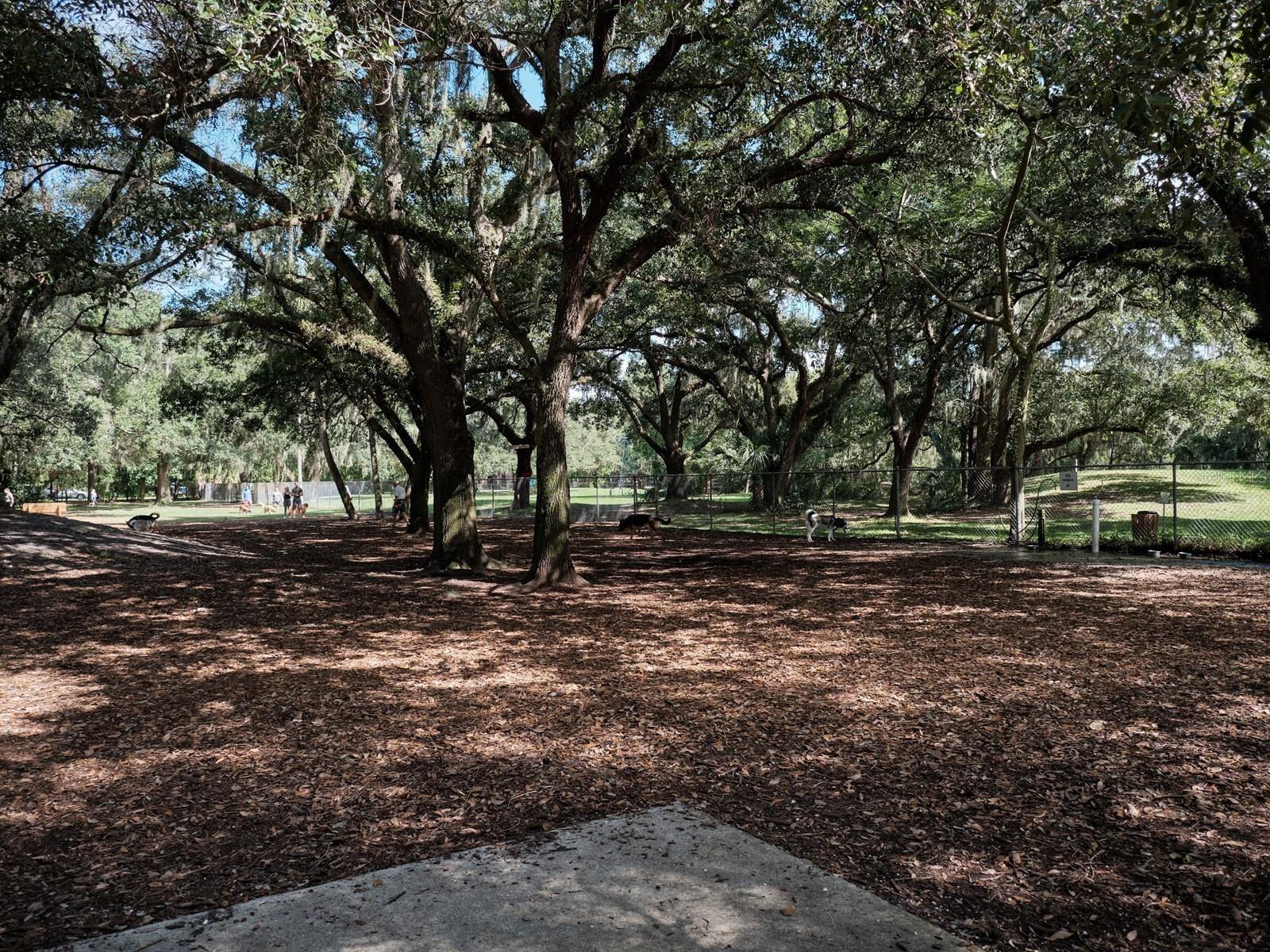 Image 58 of 100 For 7311 Proctor Road