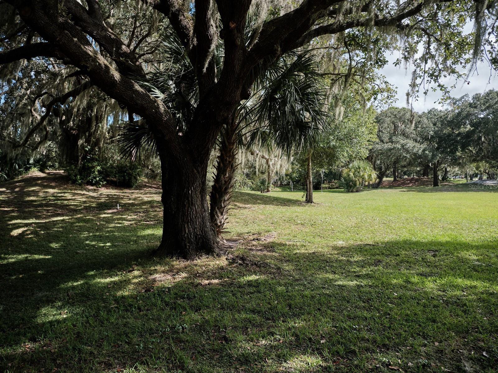 Image 61 of 100 For 7311 Proctor Road