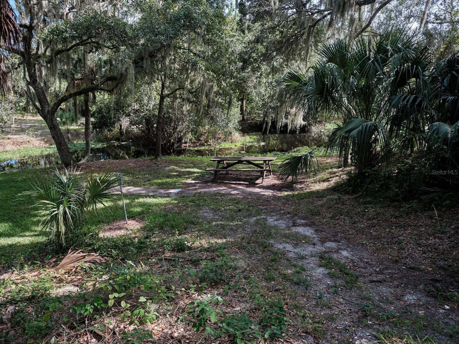 Image 62 of 100 For 7311 Proctor Road