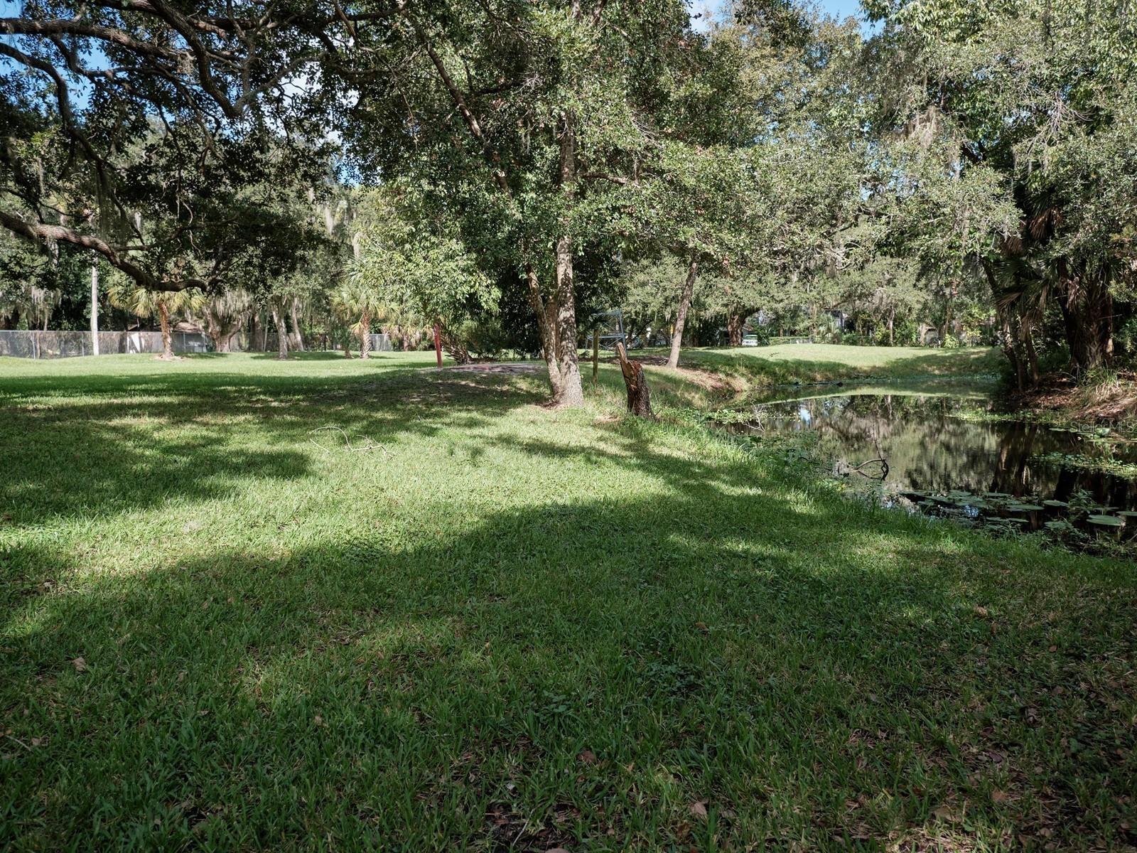 Image 63 of 100 For 7311 Proctor Road