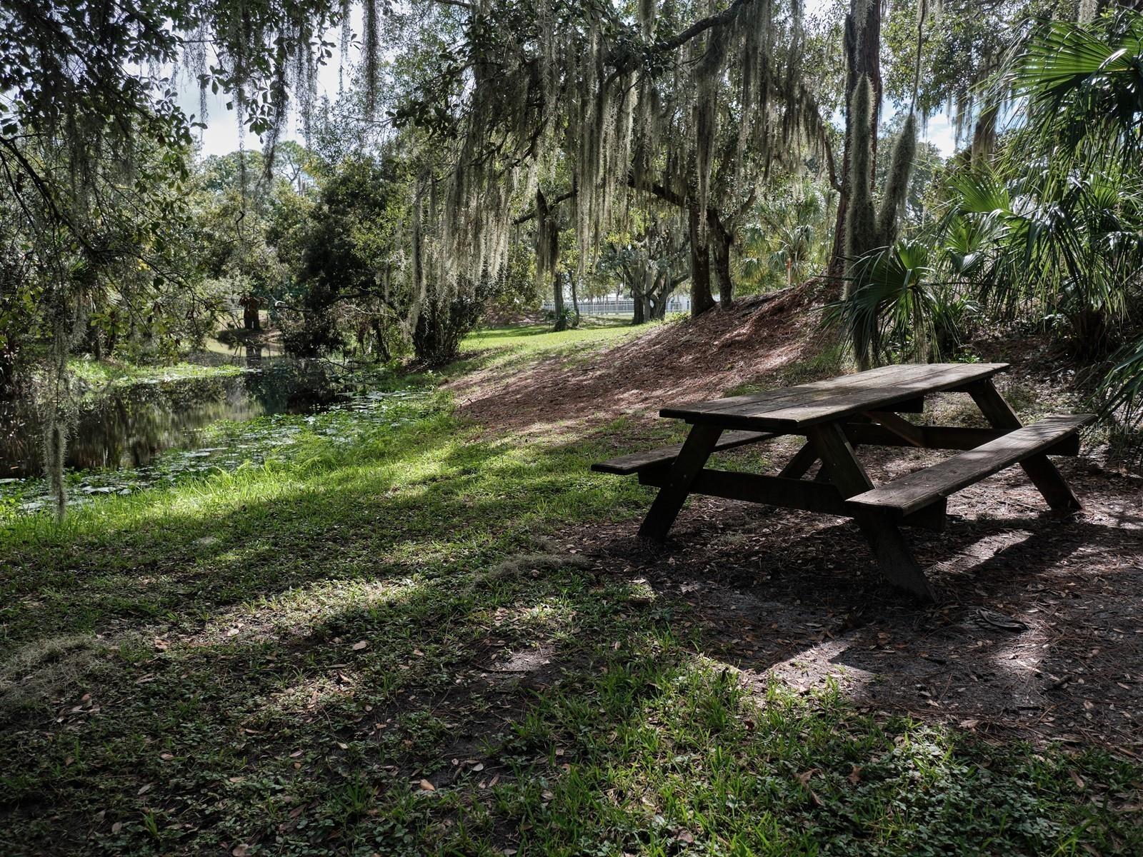 Image 64 of 100 For 7311 Proctor Road