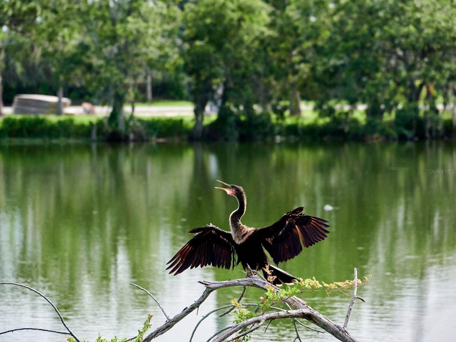 Image 96 of 100 For 7311 Proctor Road