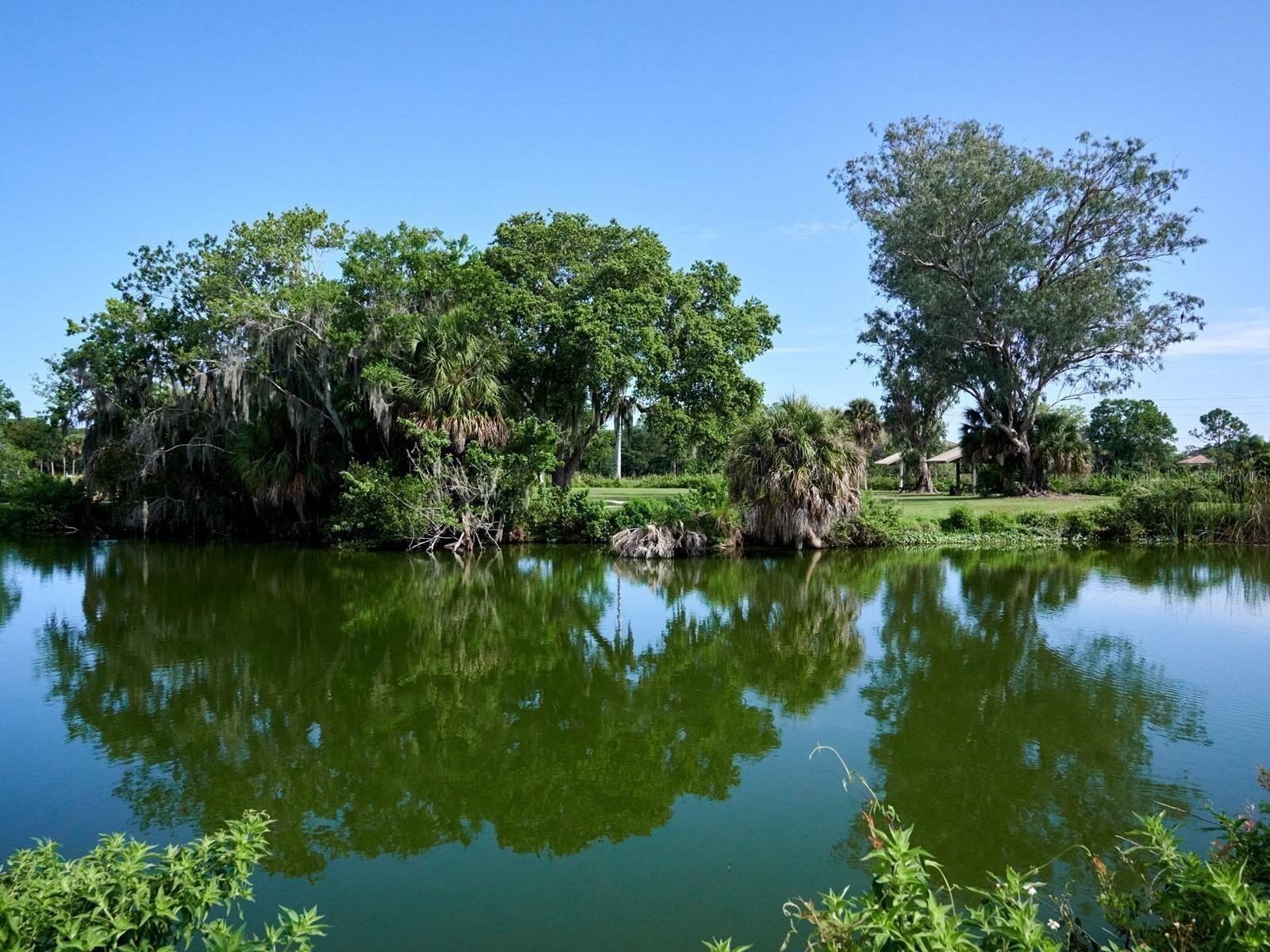 Image 98 of 100 For 7311 Proctor Road