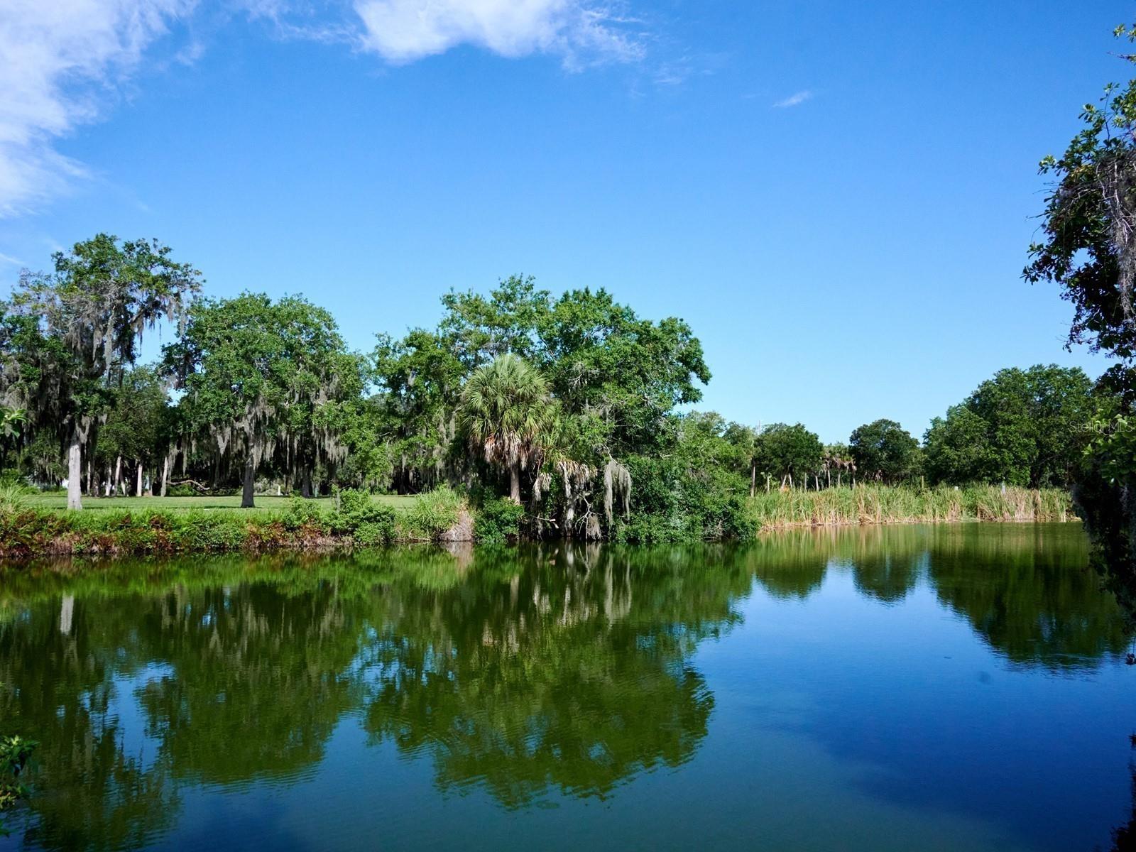 Image 99 of 100 For 7311 Proctor Road