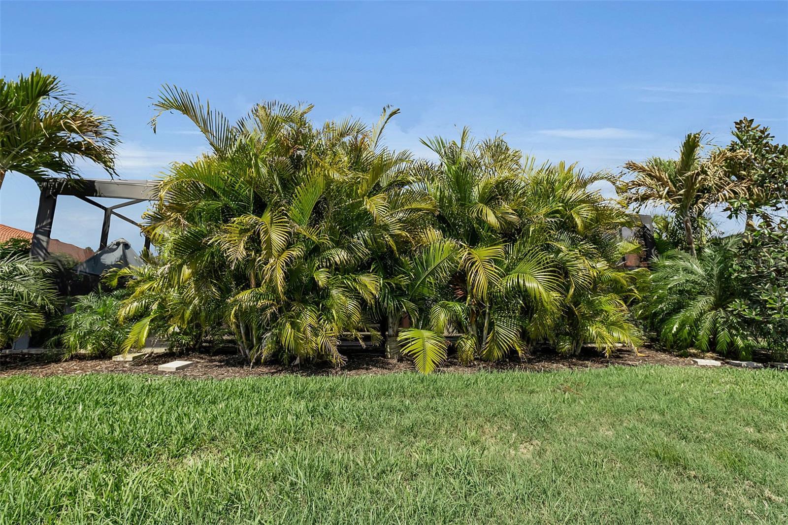 Image 56 of 71 For 11733 Goombay Court