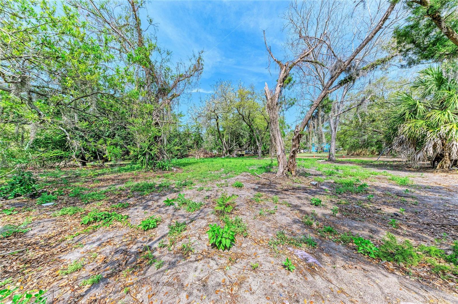 Image 6 of 8 For 820 Beneva Road