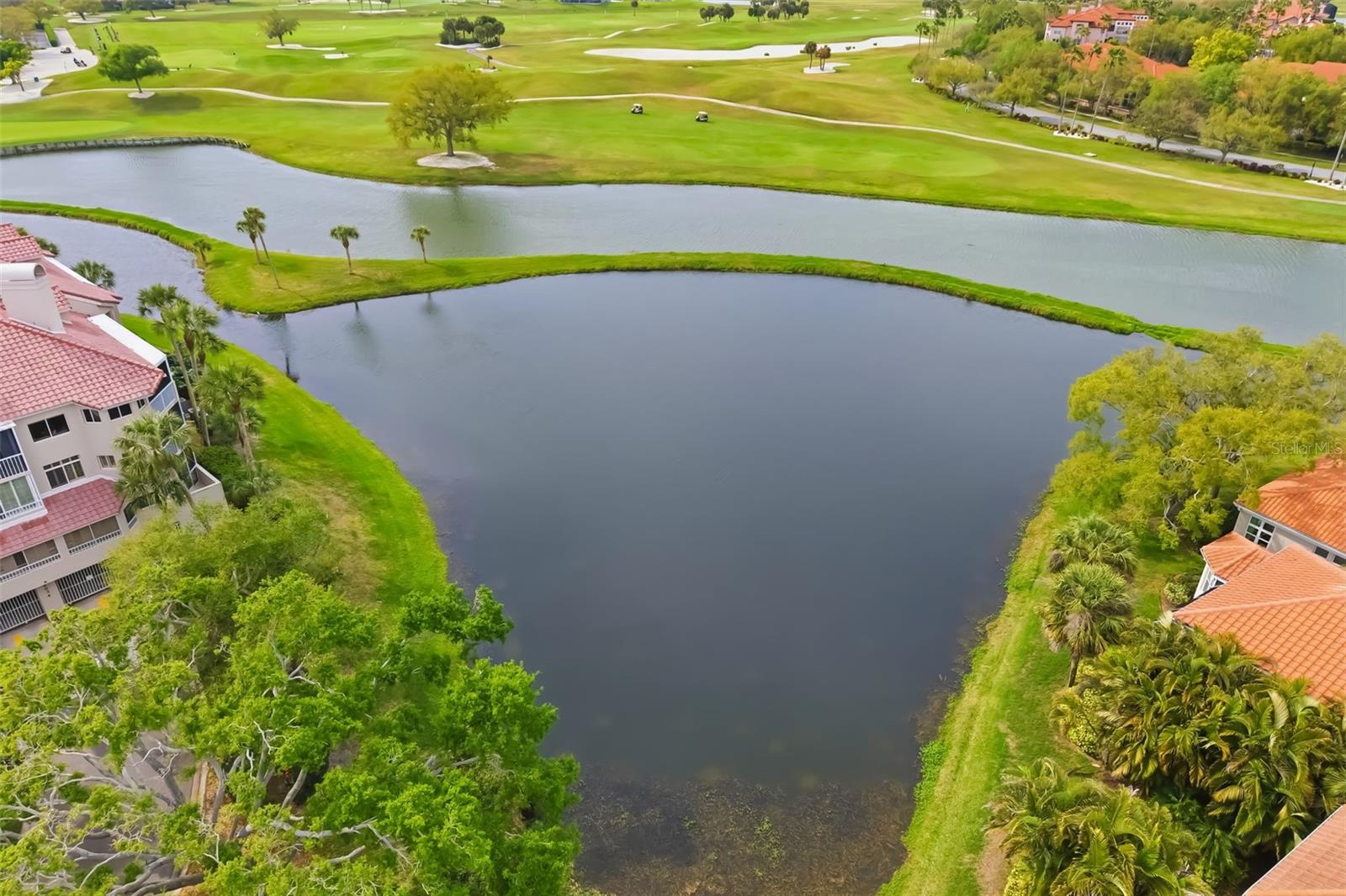 Image 69 of 79 For 7418 Monte Verde