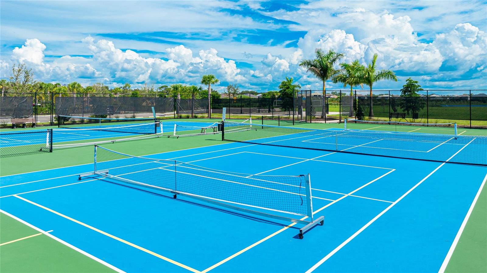 Image 78 of 83 For 8232 Summer Night Road